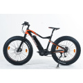 XY-WARRIOR-M 1000W fat tire electric bike
